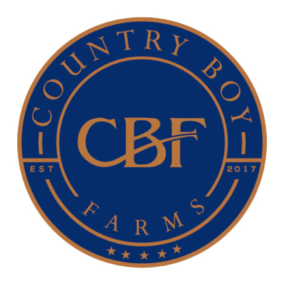 cbf logo