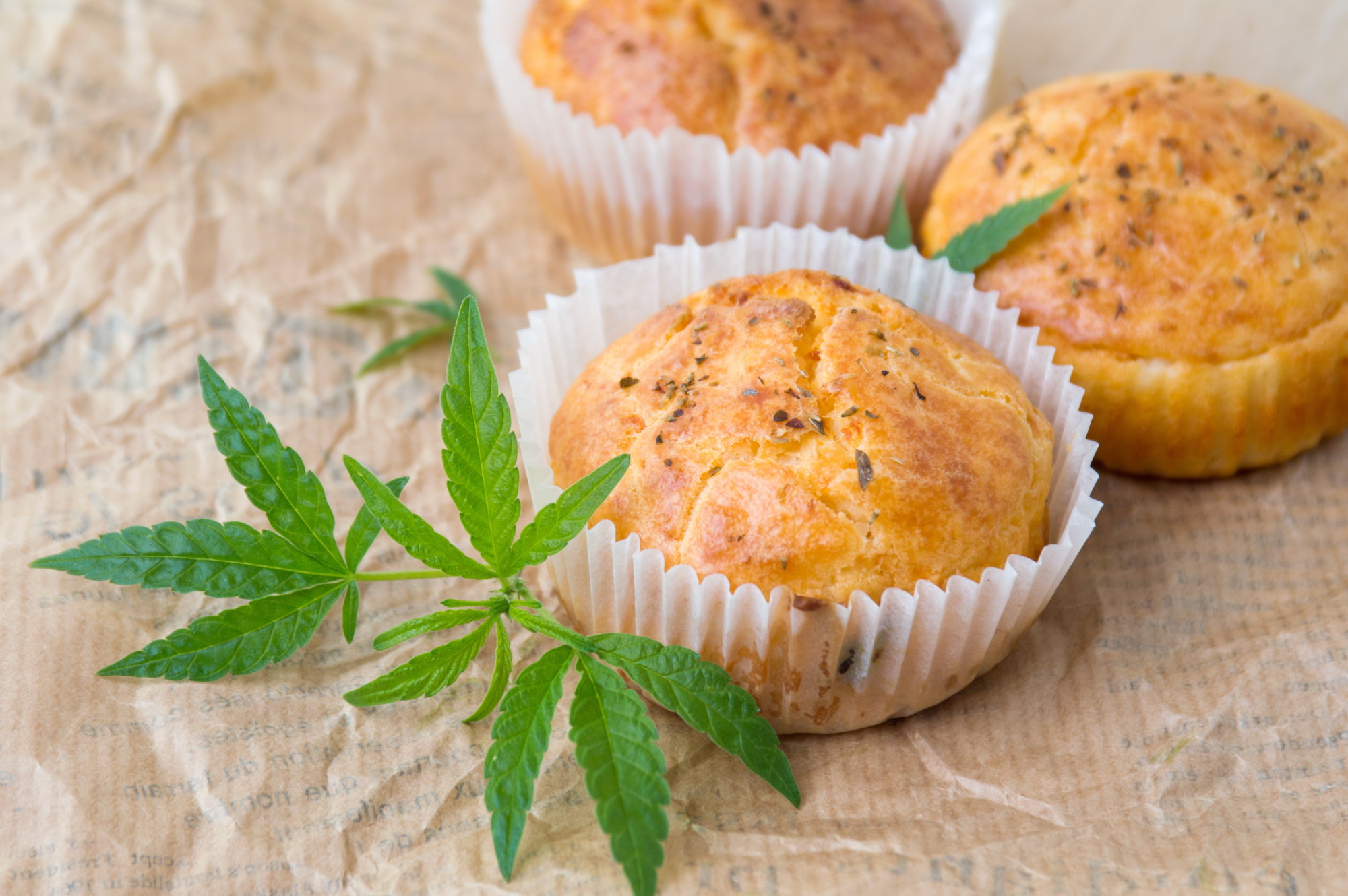 cannabis