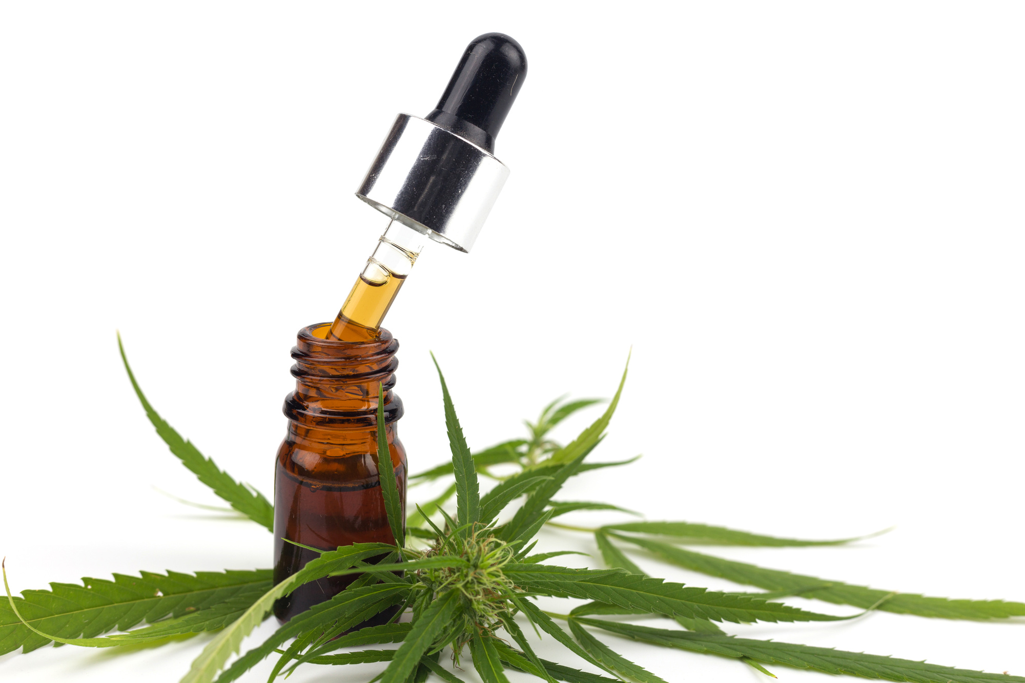 guide to cannabis concentrates