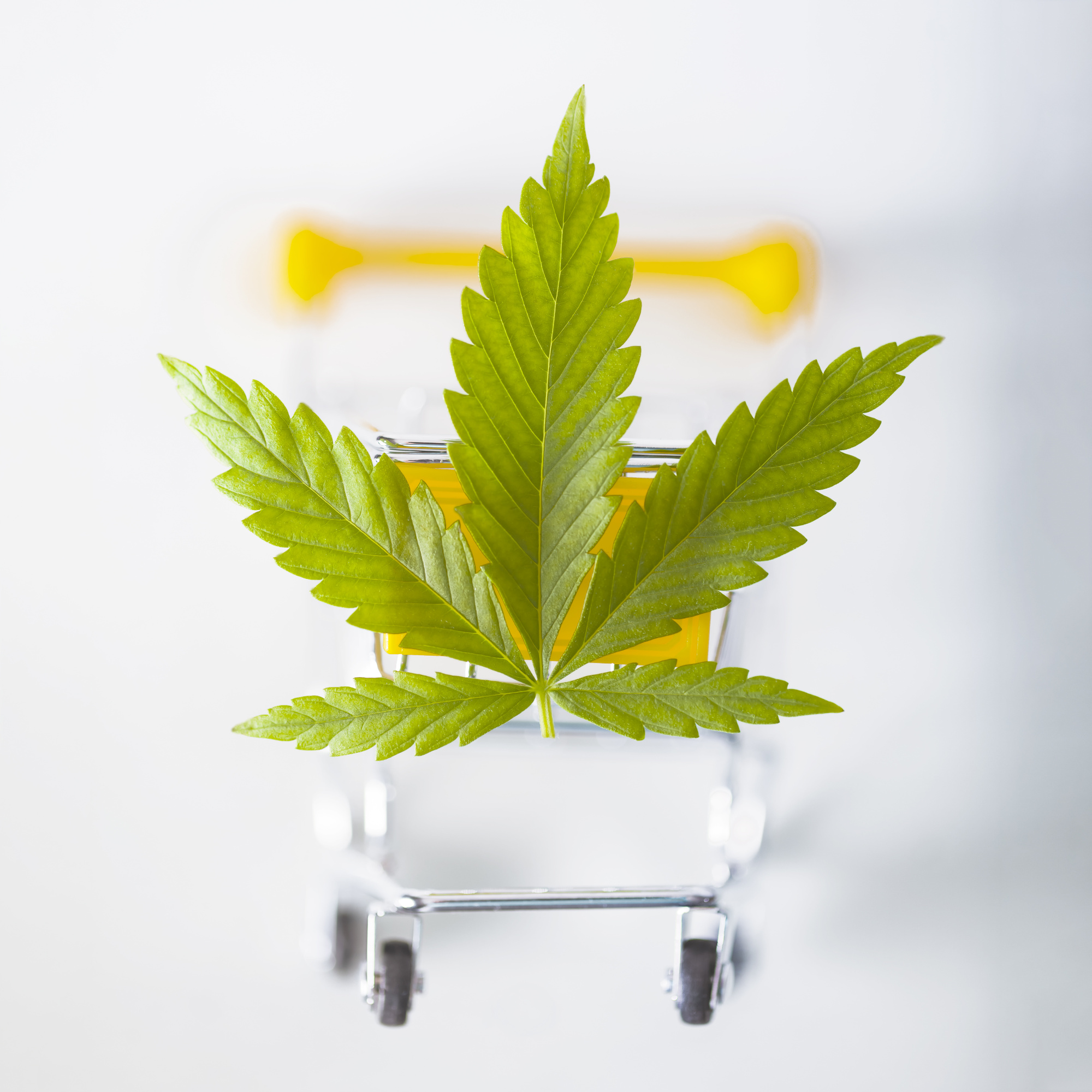 recreational weed dispensary