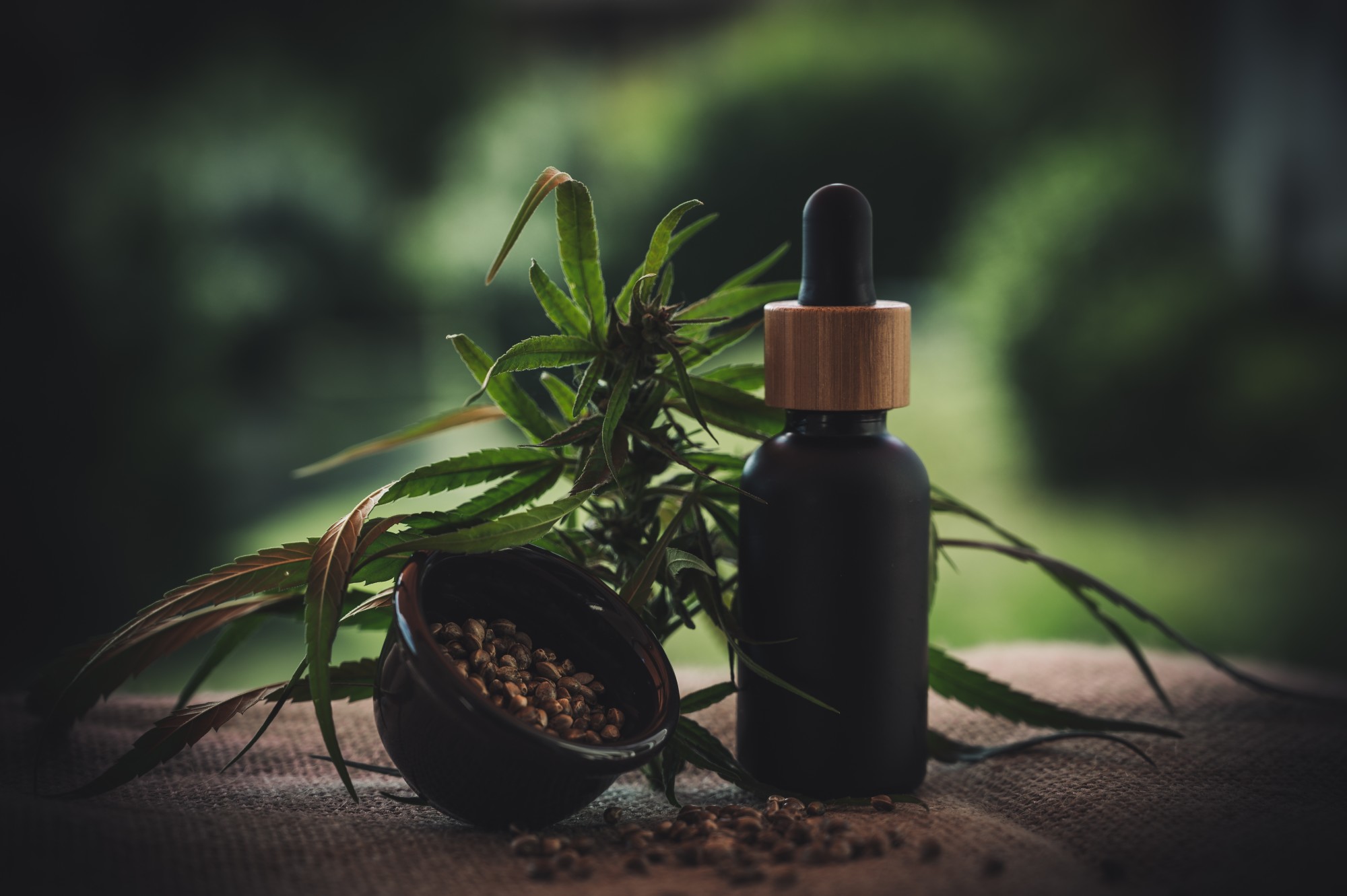types of CBD